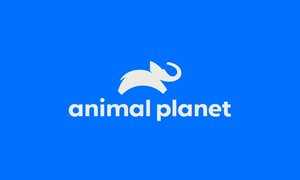 Assistir Animal Planet ao vivo